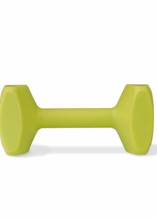Haltère Coachi TRAINING DUMBBELL 12 Plastique