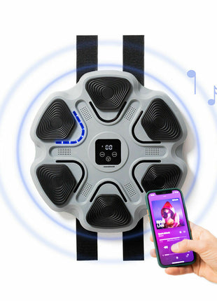 Machine de Boxe Musicale Rechargeable